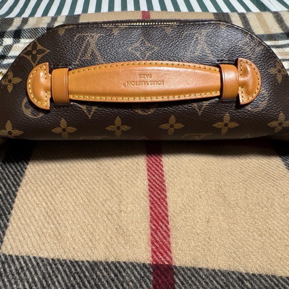 Louis Vuitton Rush bumbag- sold - Picture 5 of 13